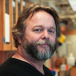 Faculty Placeholder