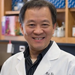 Faculty Placeholder