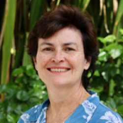 Faculty Placeholder