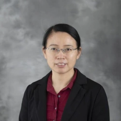 Xin Chen