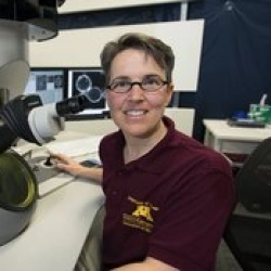 Faculty Placeholder