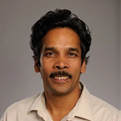 Faculty Placeholder