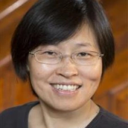 Faculty Placeholder