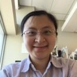 Faculty Placeholder
