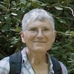 Faculty Placeholder