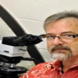 Faculty Placeholder