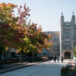 Faculty Placeholder
