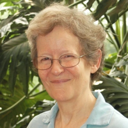 Faculty Placeholder