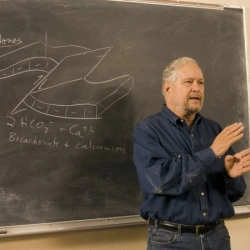 Faculty Placeholder