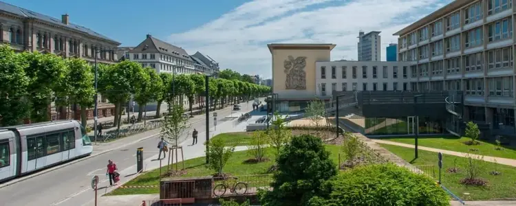 Institut National des Sciences Appliquées de Strasbourg