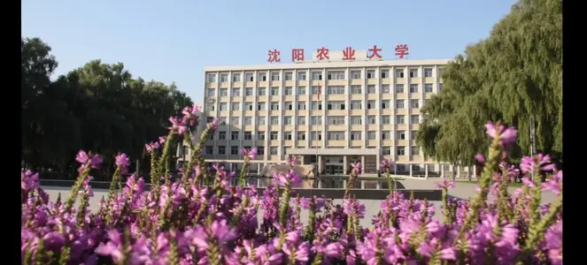 Shenyang Agricultural University
