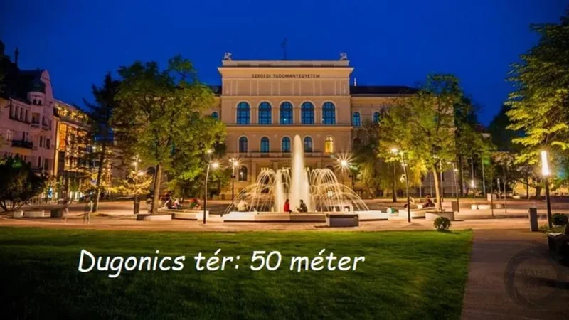 AcadoMeet users collaborating