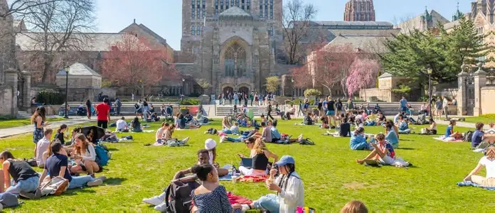 Yale University