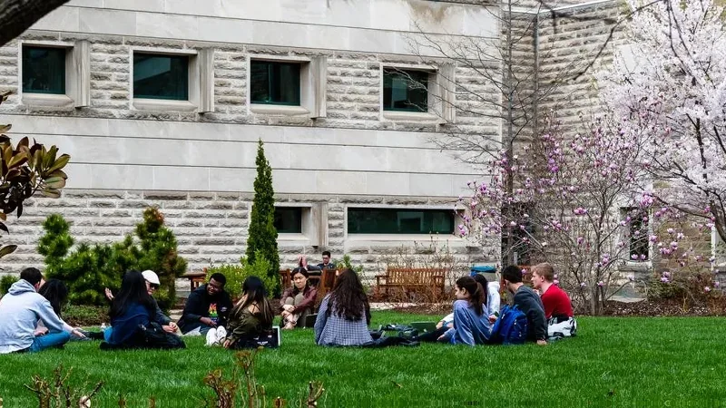 AcadoMeet users collaborating
