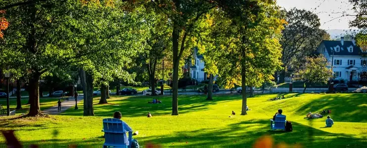 University cover photo