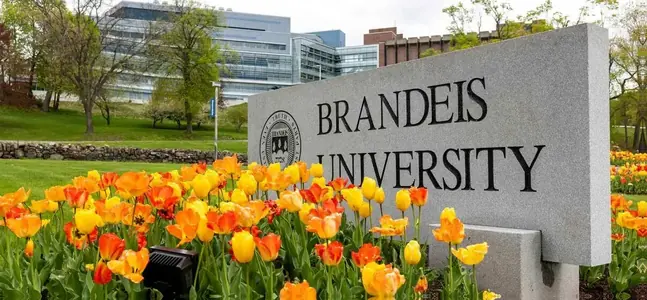 University cover photo