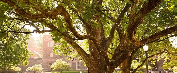 University cover photo
