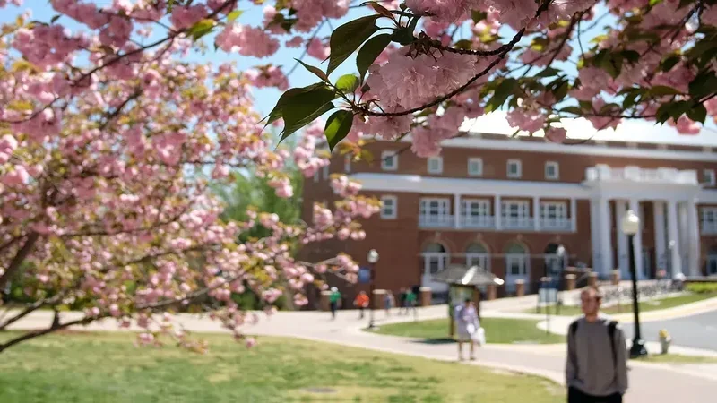 University of Mary