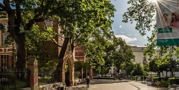 University cover photo