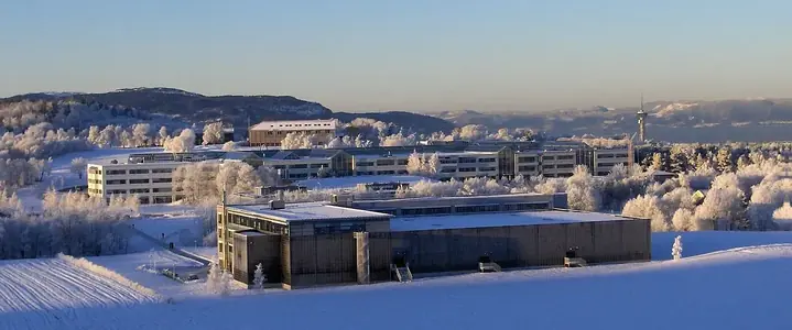 University cover photo