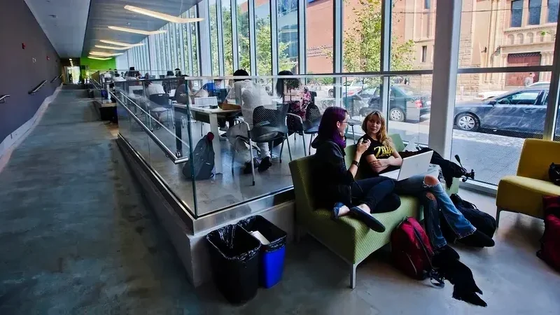 AcadoMeet users collaborating