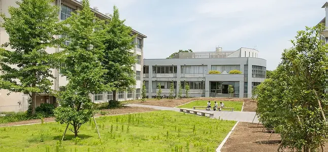 University cover photo