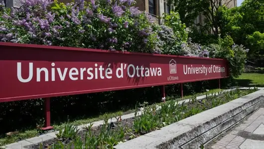 University cover photo