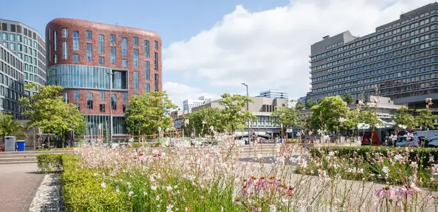 University cover photo