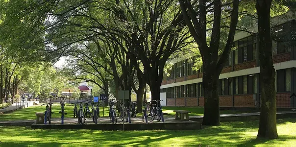 Universidad de Guadalajara