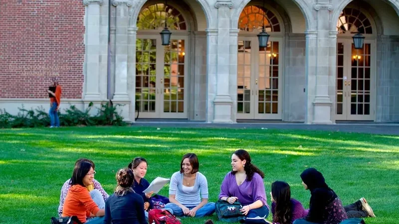 AcadoMeet users collaborating