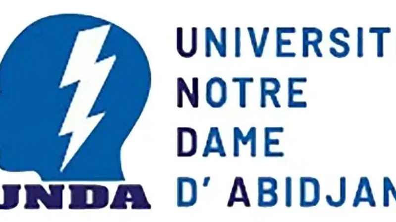 AcadoMeet users collaborating