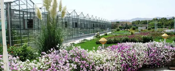 Ferdowsi University of Mashhad