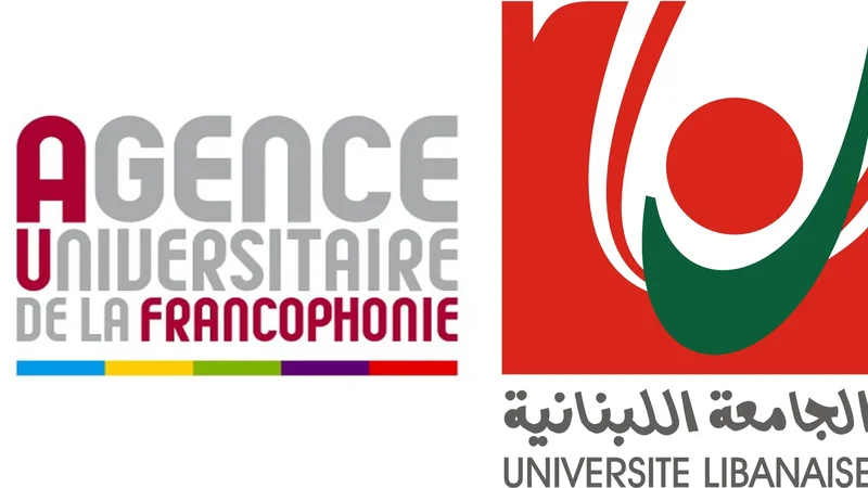 AcadoMeet users collaborating